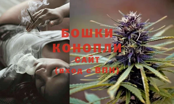 прущий лед Абаза