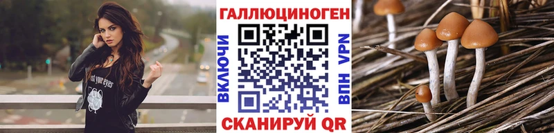 МЕГА ссылки  Агрыз  Галлюциногенные грибы Cubensis 